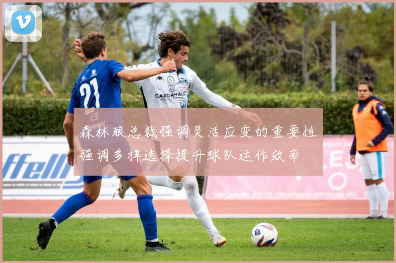 森林狼总裁强调灵活应变的重要性强调多样选择提升球队运作效率